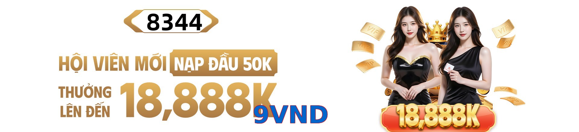 9VND