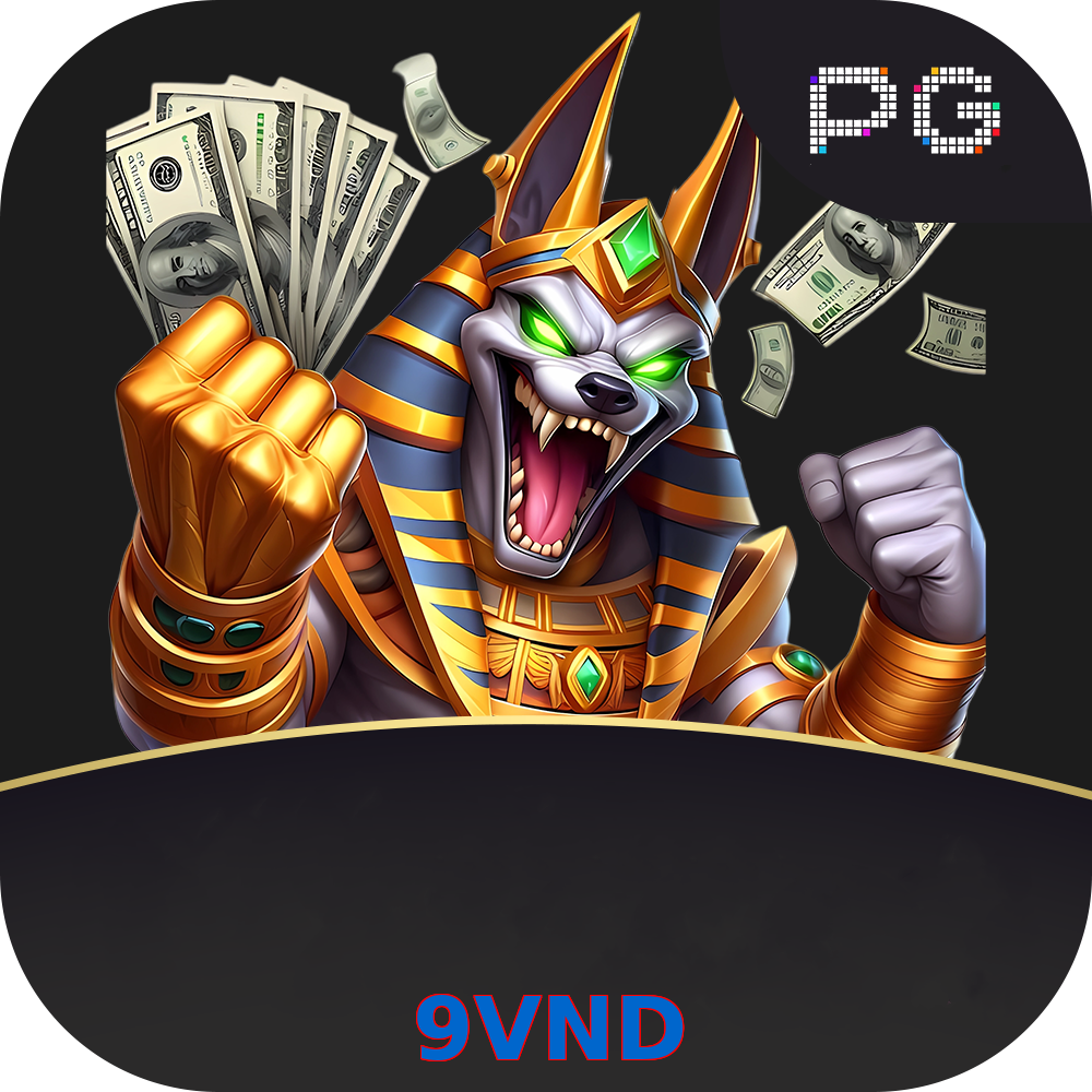 9VND